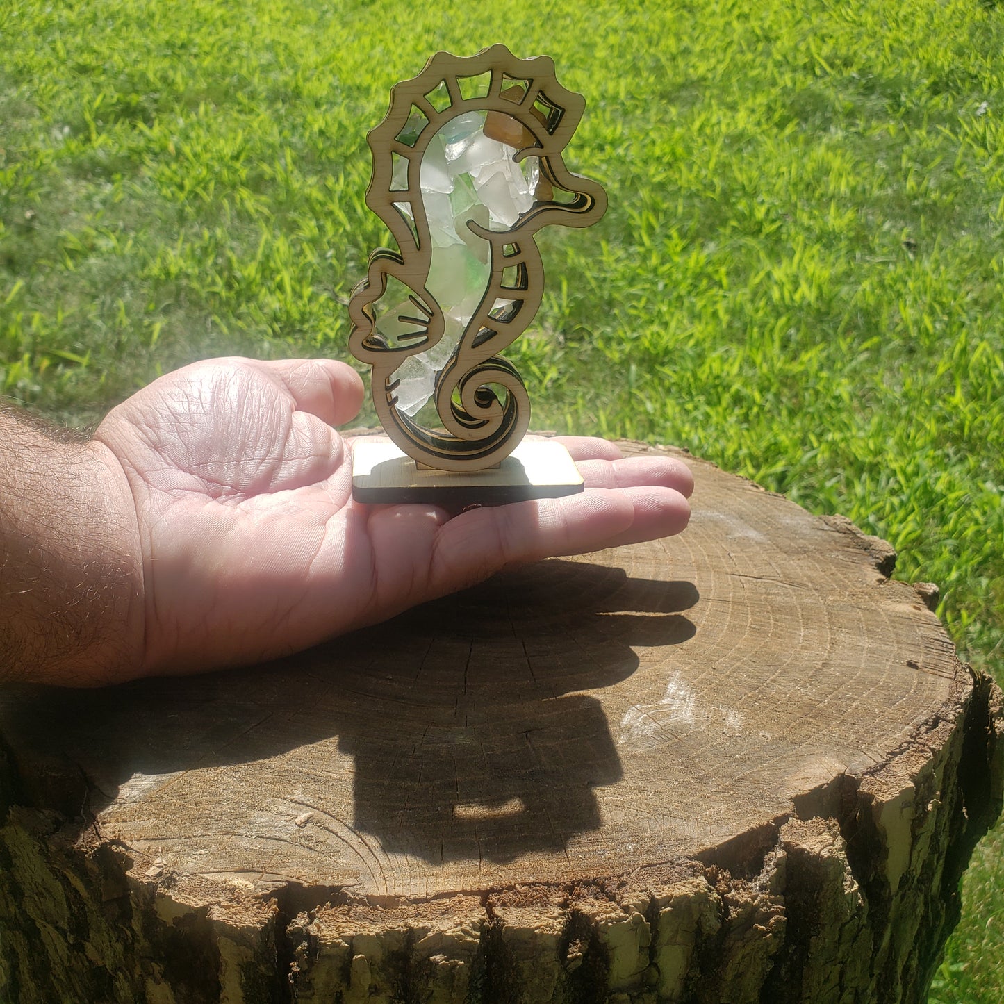 Seahorse Sea Glass Shadowbox Display, Single Sided, Window Hanging, Double Sided Shine-through Shelf Sitter, LED Light Multicolor, Small