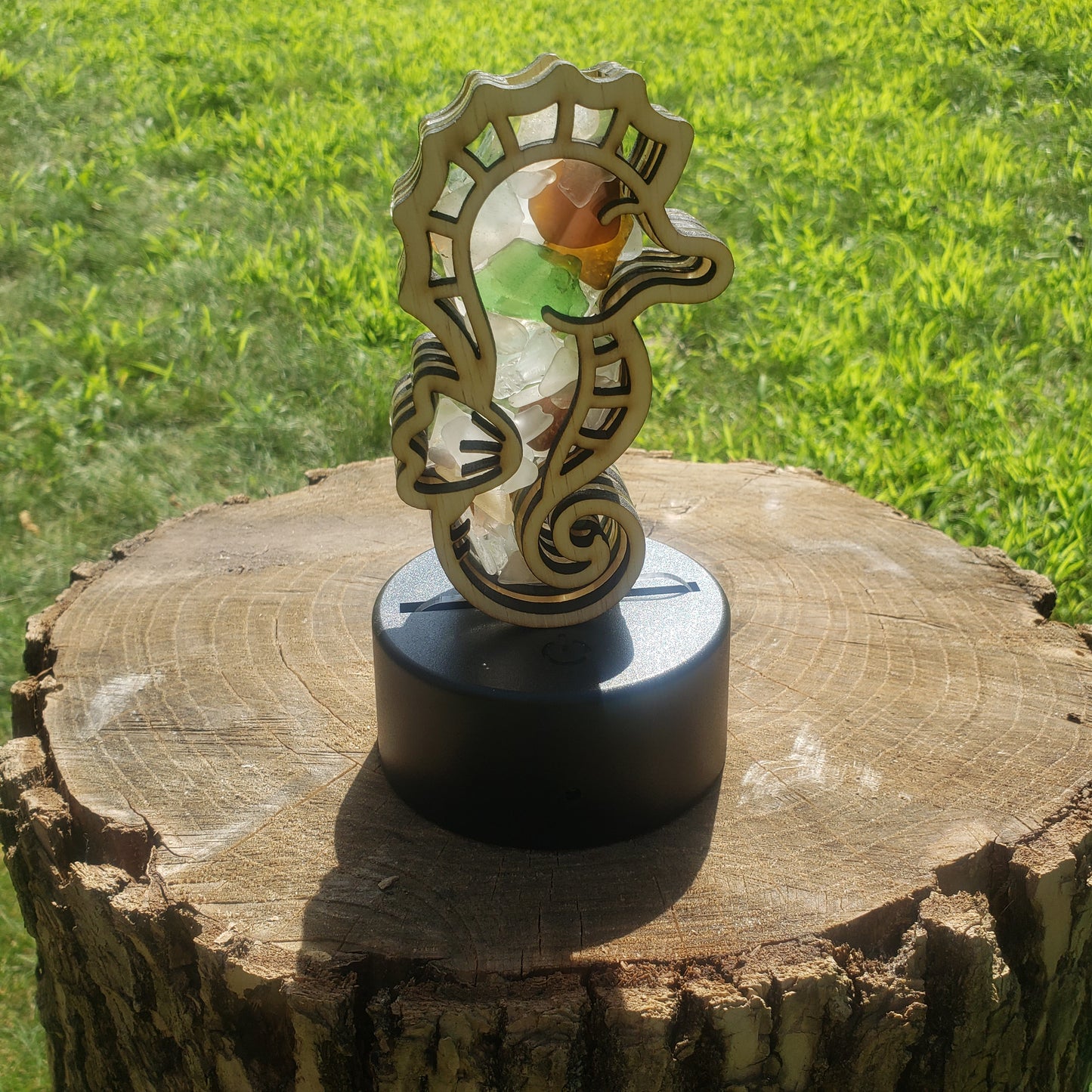 Seahorse Sea Glass Shadowbox Display, Single Sided, Window Hanging, Double Sided Shine-through Shelf Sitter, LED Light Multicolor, Small