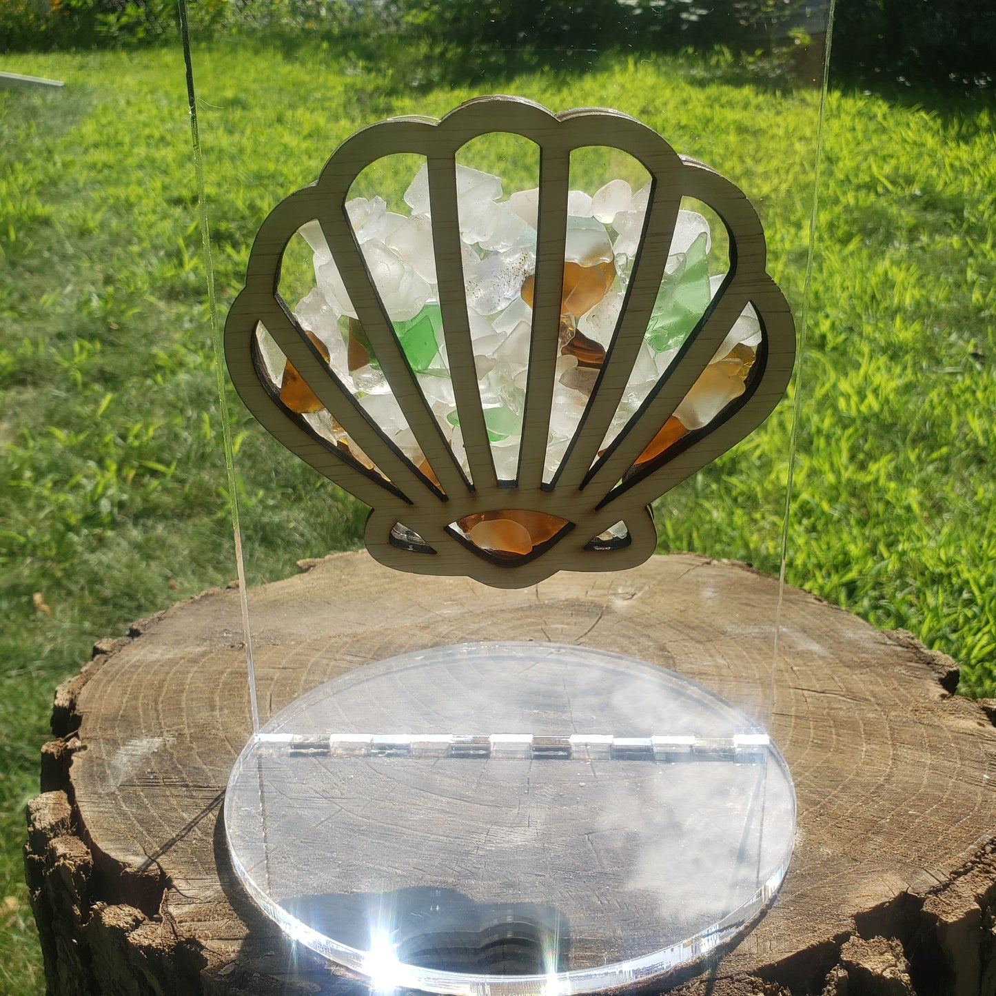 Clam Shell Sea Glass Shadowbox Display, Window Hanging, Double-sided Shine-through Shelf Sitter, LED Light, Small