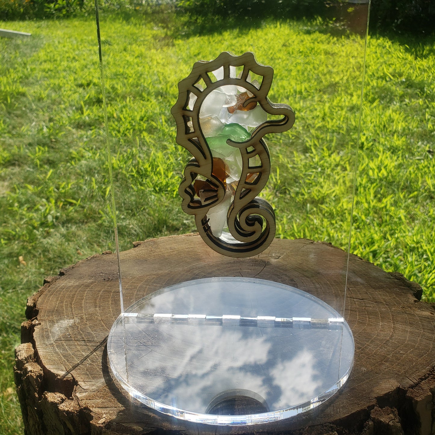 Seahorse Sea Glass Shadowbox Display, Single Sided, Window Hanging, Double Sided Shine-through Shelf Sitter, LED Light Multicolor, Small