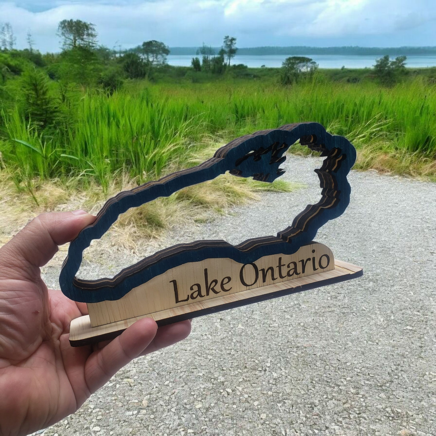 Lake Ontario Sea Glass Shadowbox Display, Single Sided, Double Sided Shelf Sitter, Standard and High Capacity, Medium