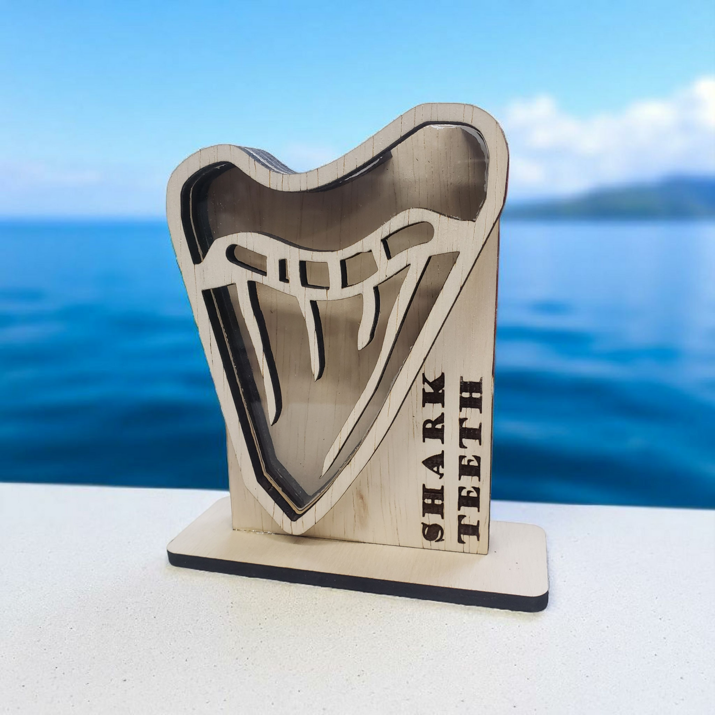 Shark Tooth Megalodon Tooth Sea Glass Shadowbox Display Single Sided, Window Hanging, Double Sided Shelf Sitter, LED Light, Small