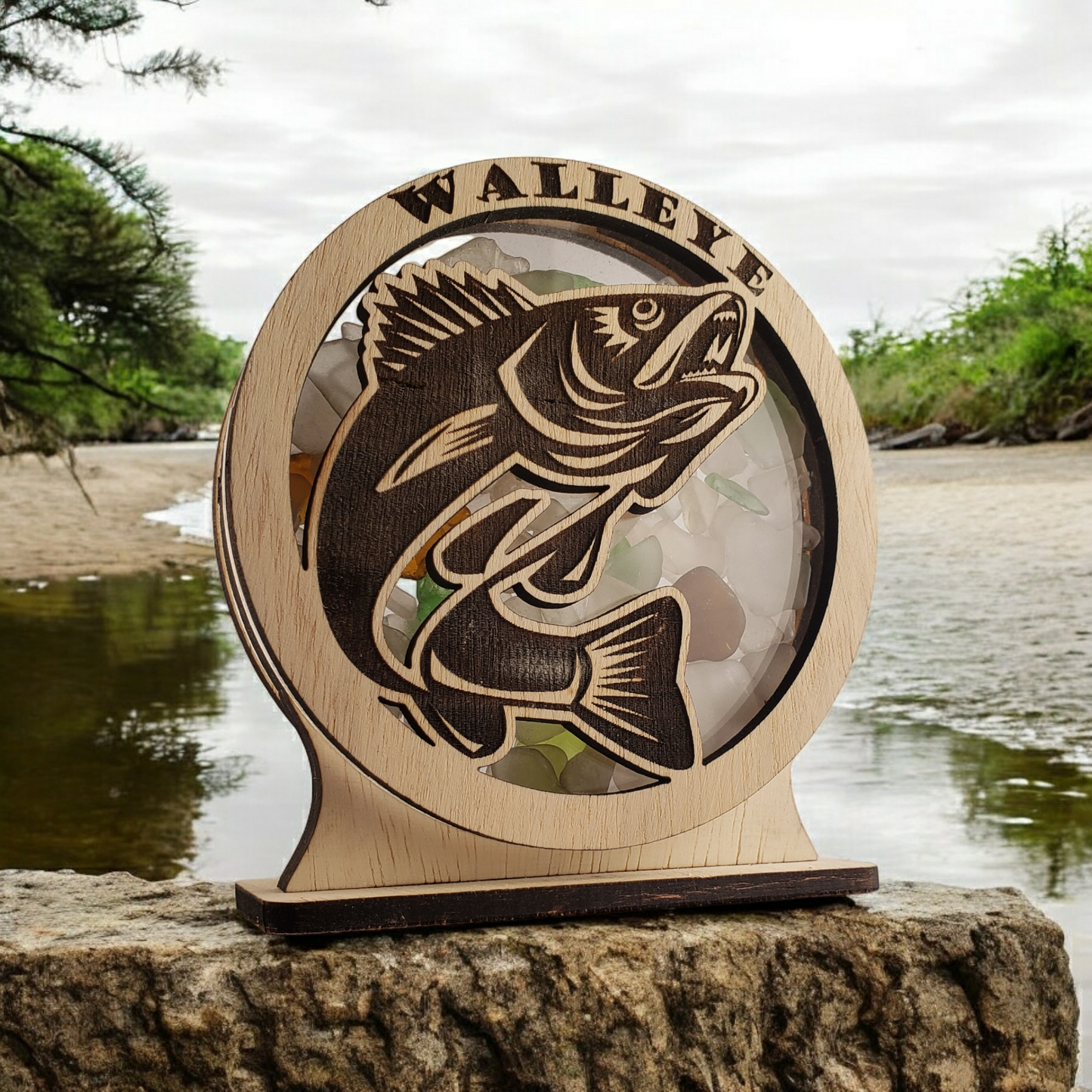 Walleye Sea Glass Shadowbox Display Single Sided, Window Hanging, Double Sided Shine-through Shelf Sitter, LED Light, Small