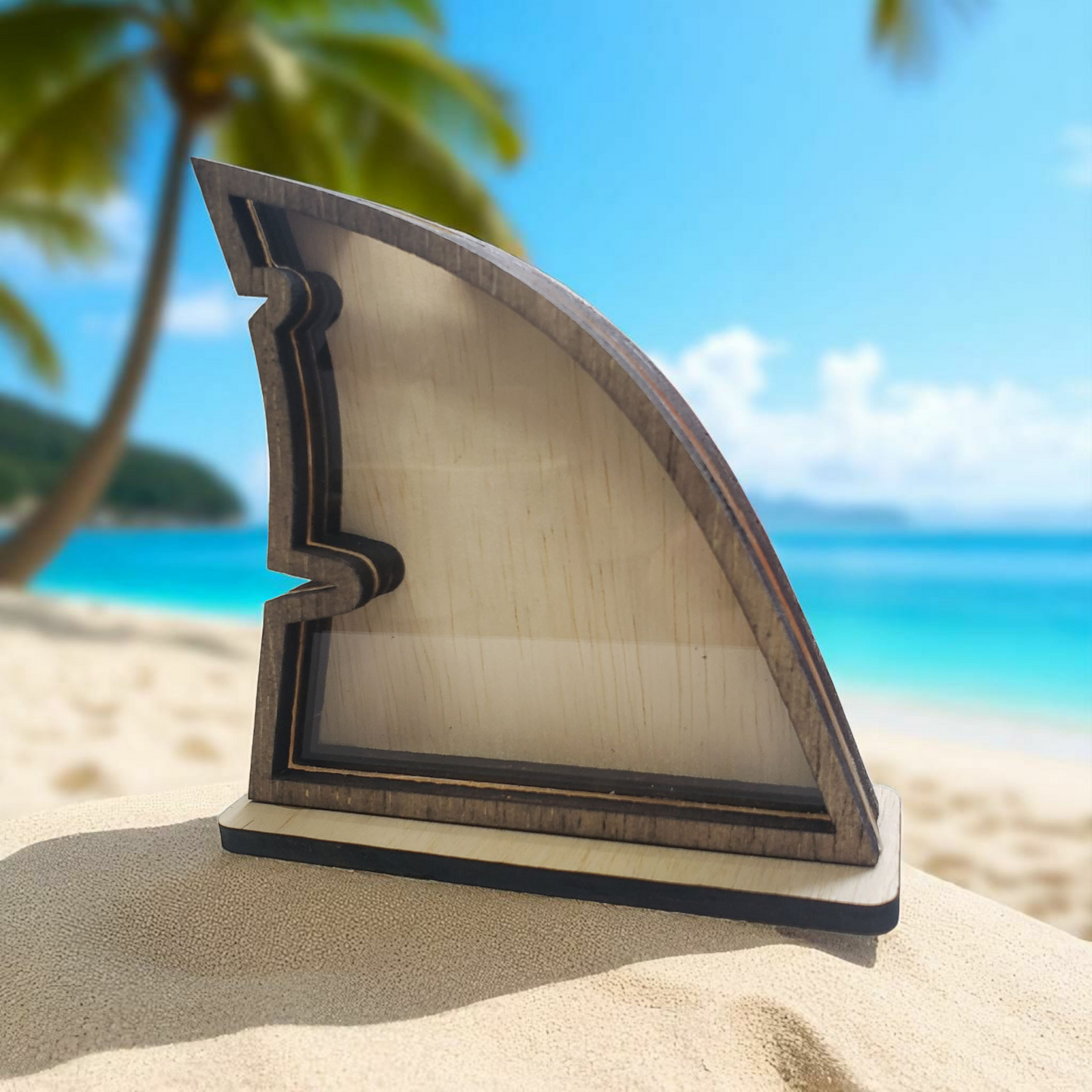 Shark Fin Sea Glass Shadowbox Display Single Sided, Window Hanging, Double Sided Shelf Sitter, LED Light, Small